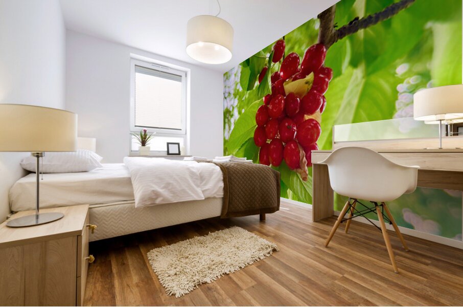 The Patience of Fruit: A Quiet Celebration Mural print