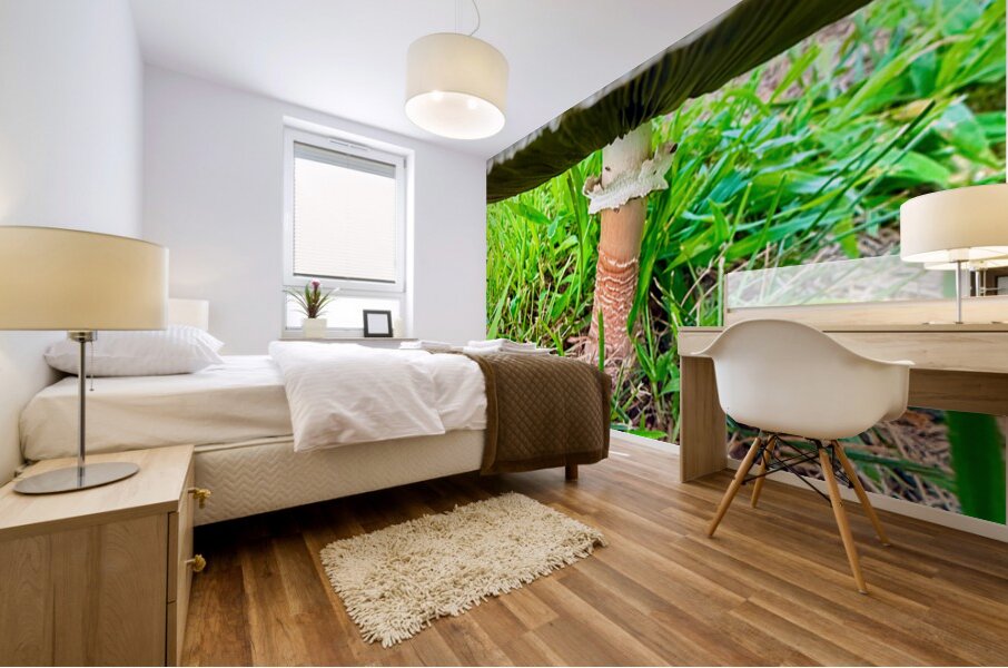 Under the Cap: A Fungal World Revealed Mural print