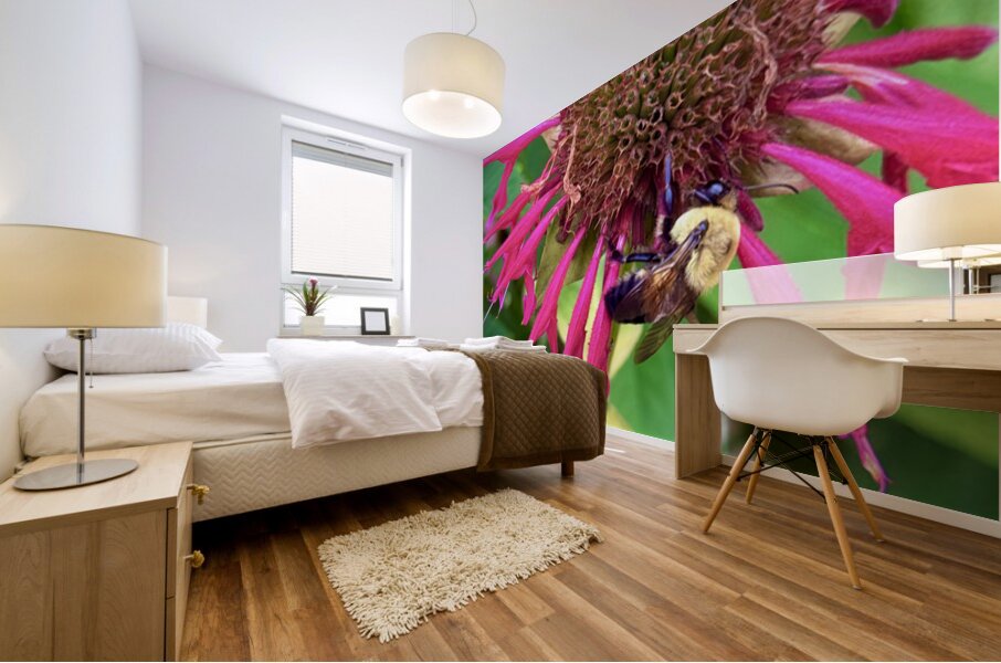 Vital Encounter Mural print