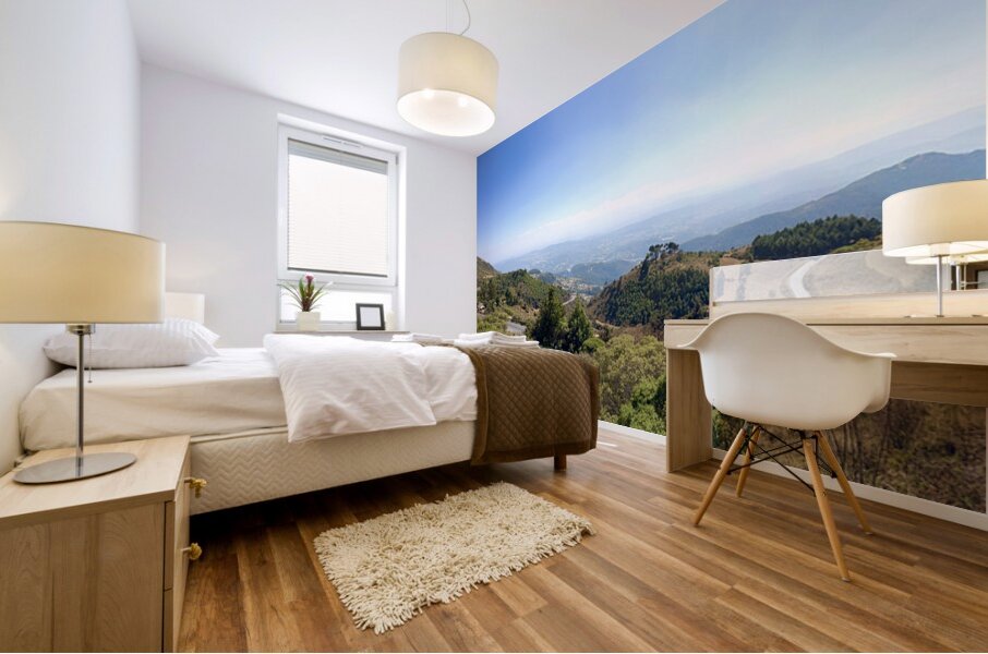 IMG 9668 Mural print