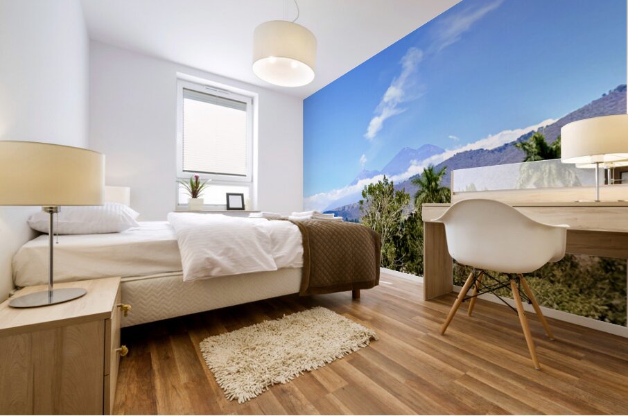 IMG 0160 Mural print