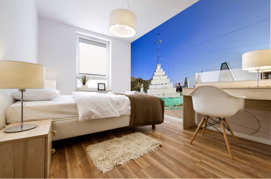 IMG 9701 Mural print