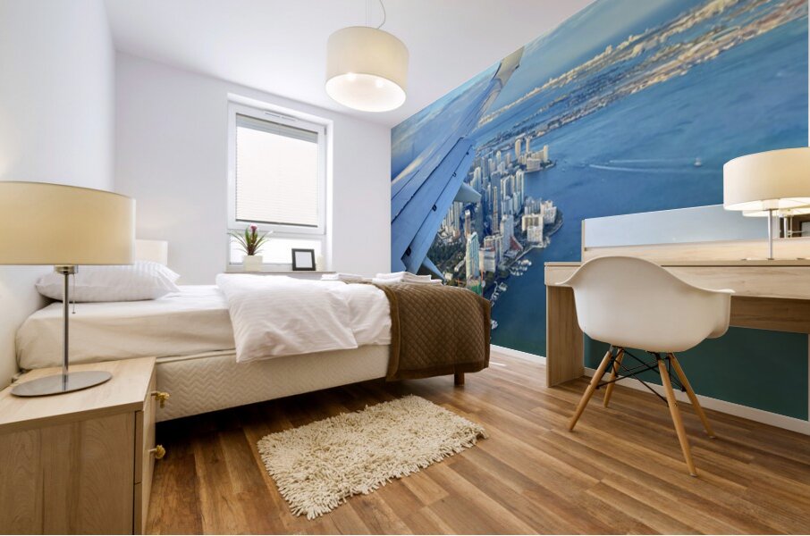 IMG 0557 Mural print