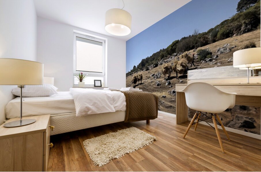 IMG 9563 Mural print