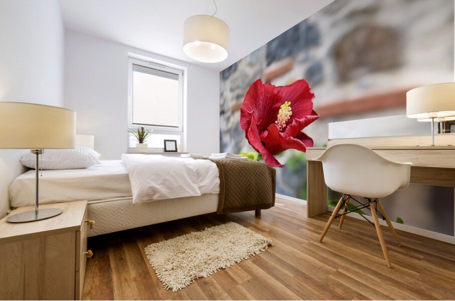 IMG 9957 Mural print