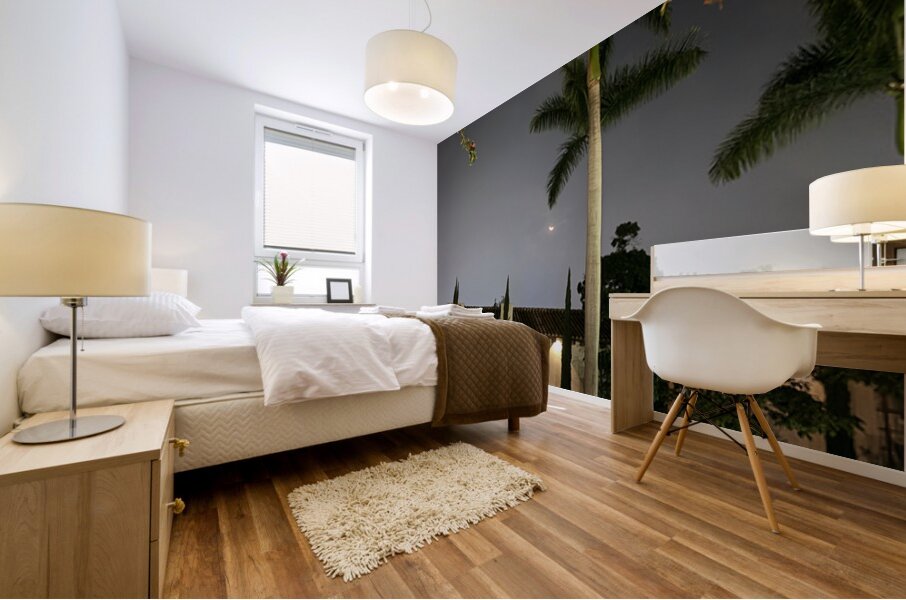 IMG 0437 Mural print