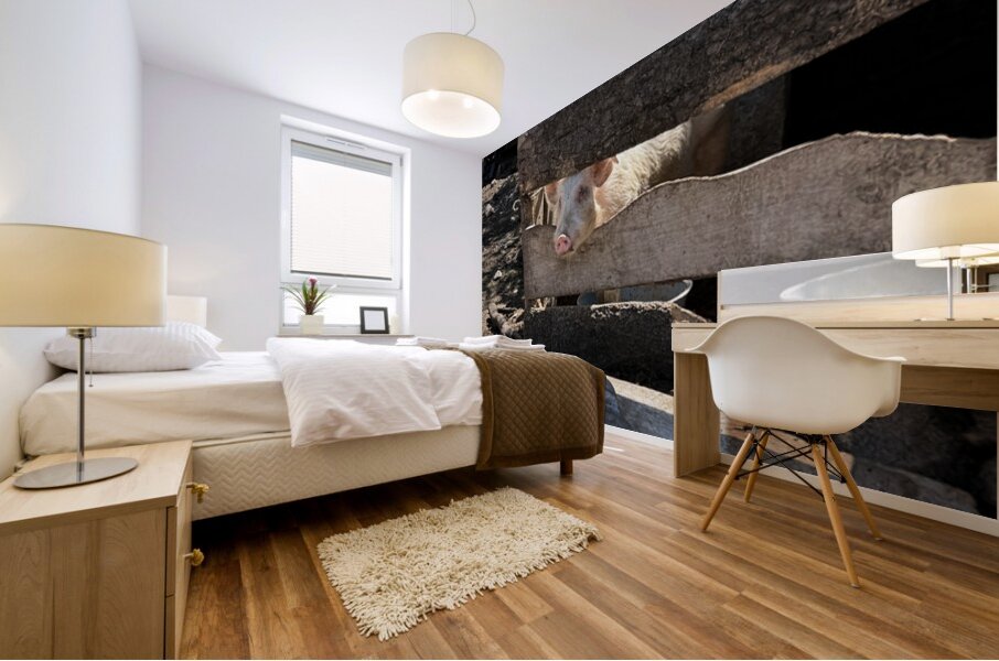 IMG 9518 Mural print