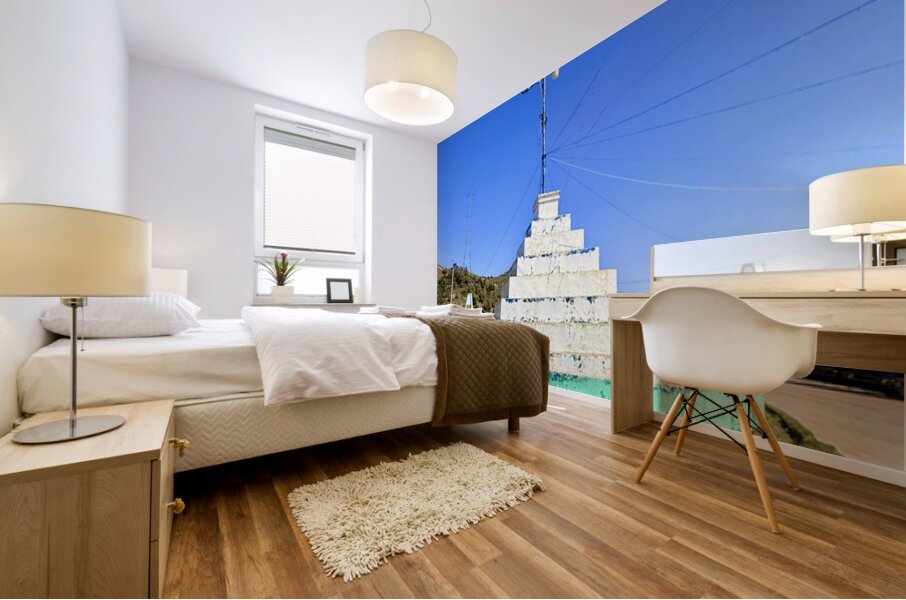 IMG 9700 Mural print