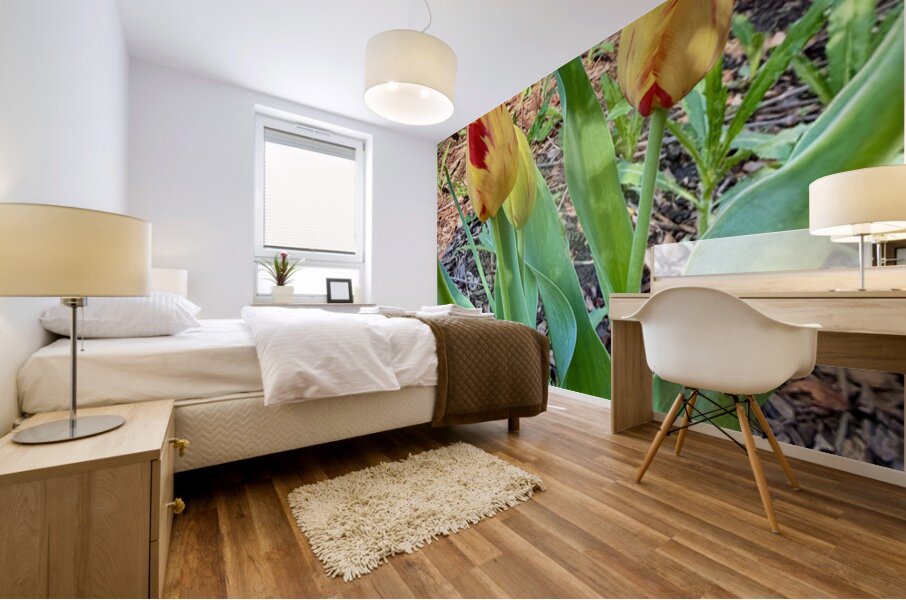 Double Flame Mural print