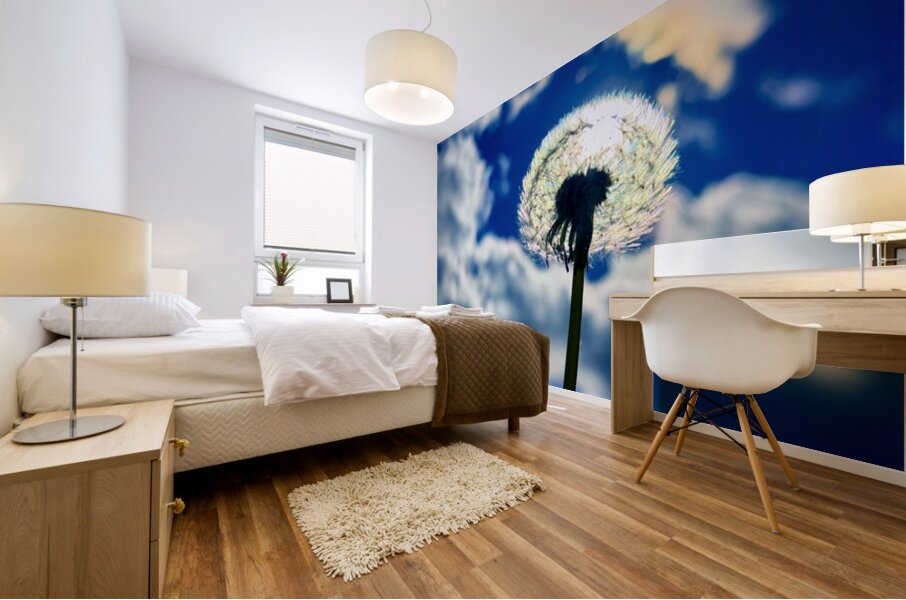 Wild Sky Seeker Mural print