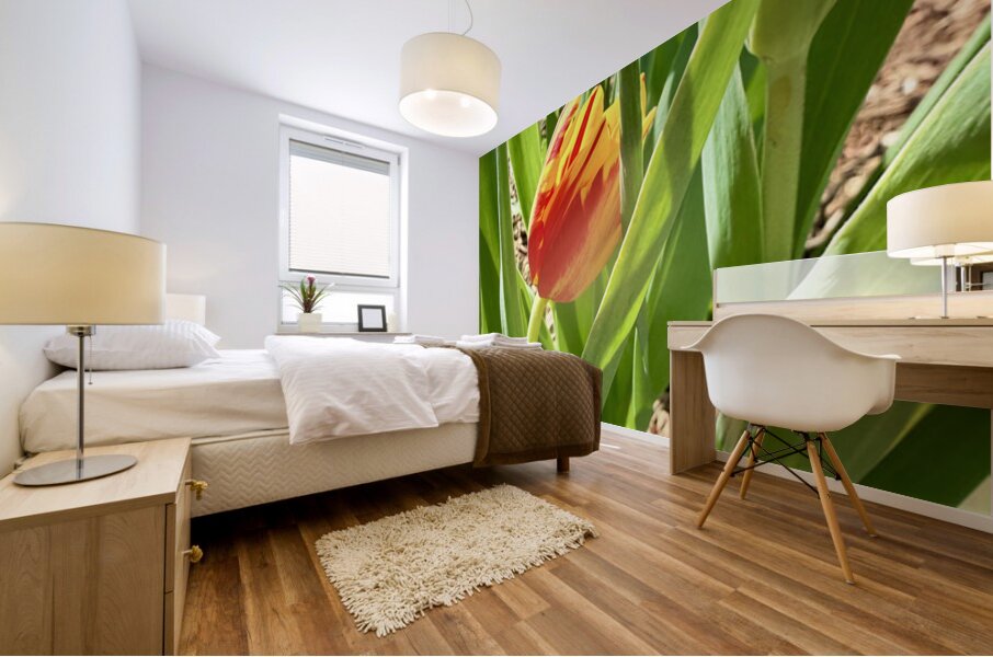 Tucked Away Mural print