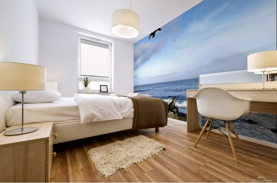 Seal Bird Watching 3 Mural print