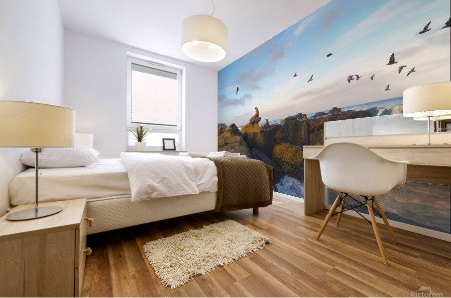 Seal Bird Watching Mural print