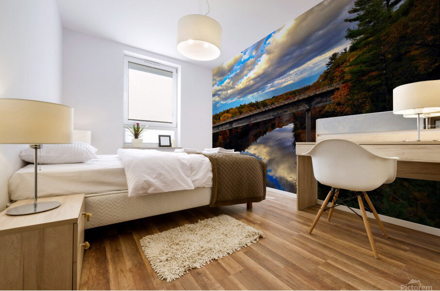 MI Reflections Mural print