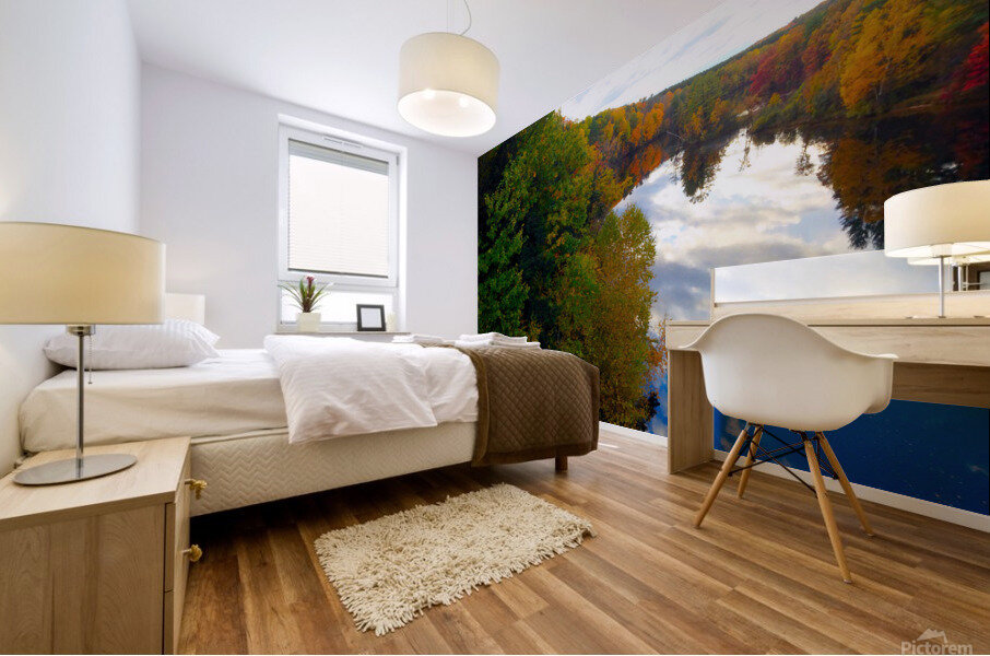 MI Reflections 2 Mural print