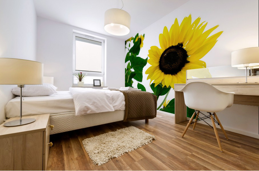 Hello Sunshine   Mural print