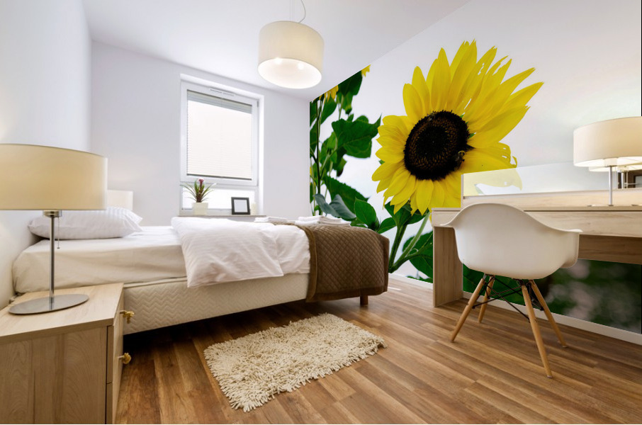 Hello Sunshine 2 Mural print