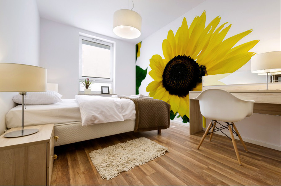 Blooms of Joy 3 Mural print