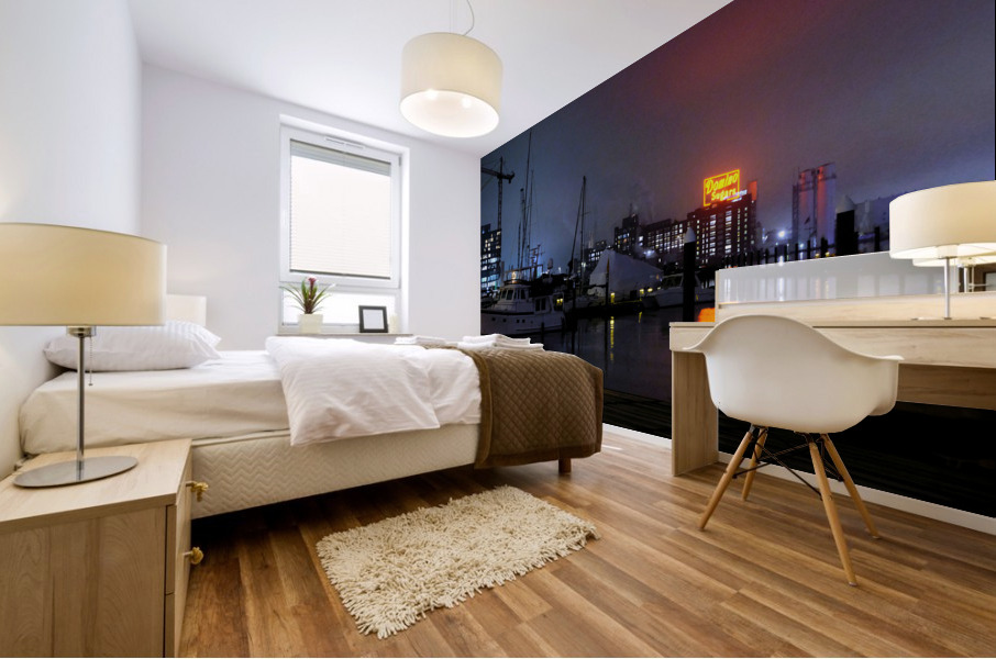 Beautiful Baltimore Harbor 3 Mural print