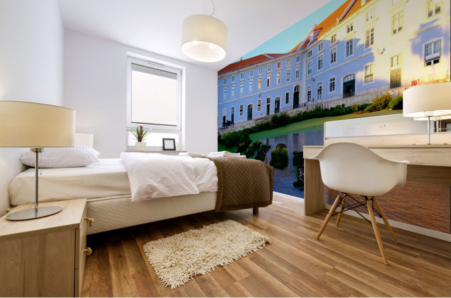 Walking through Lisbon 3 Mural print