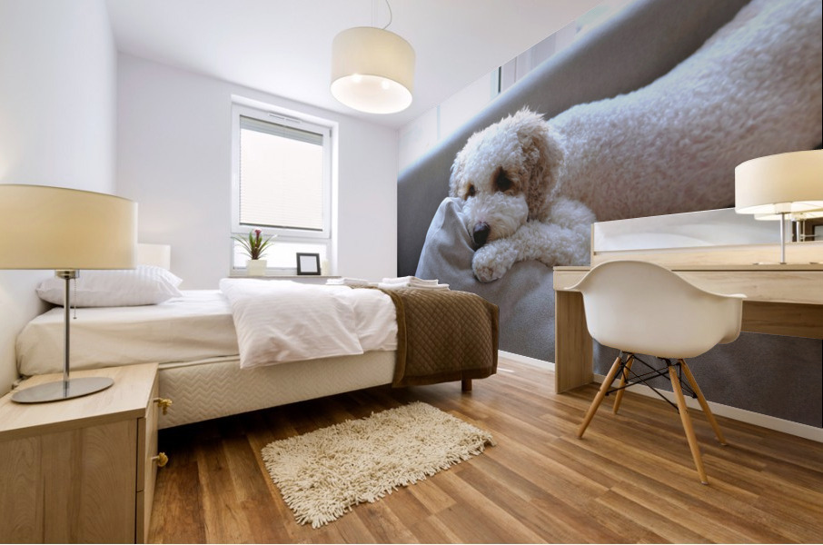 Patient Pooch Finn Mural print