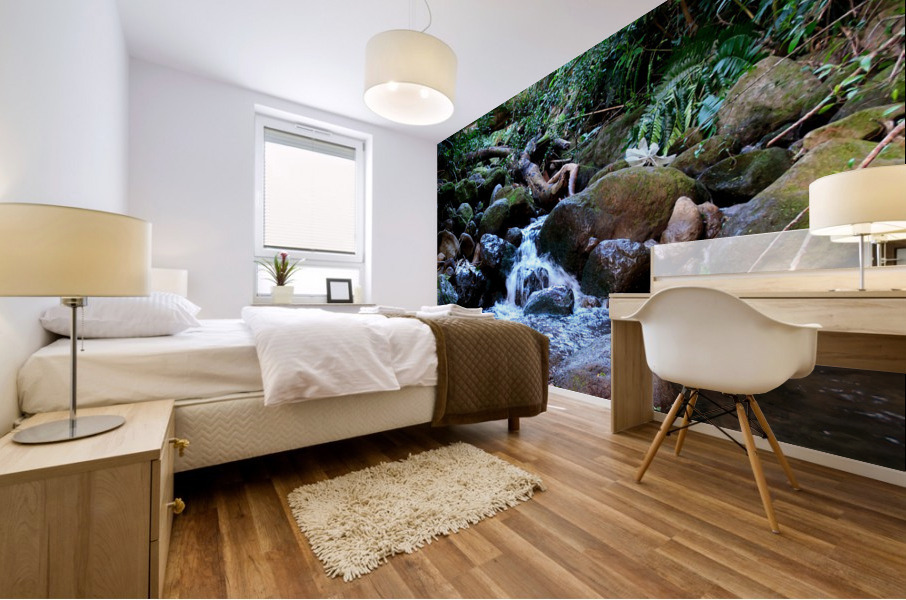 Hiking Hawaii Water Flow Mural print