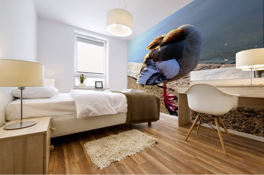 Headless Duck Mural print