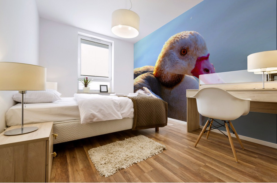 Duck Face 1B Mural print