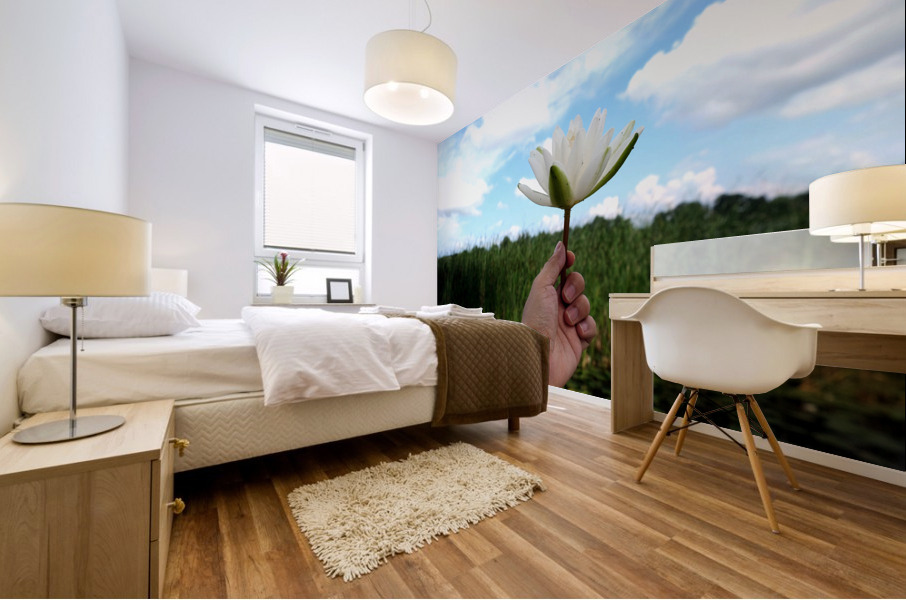 Gift to the Sky Mural print