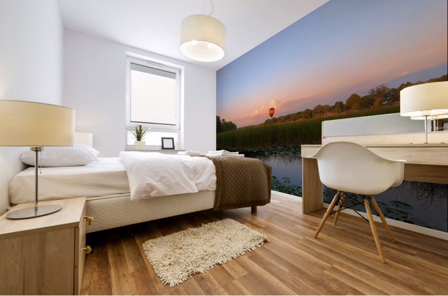 Solace in the Sky Mural print