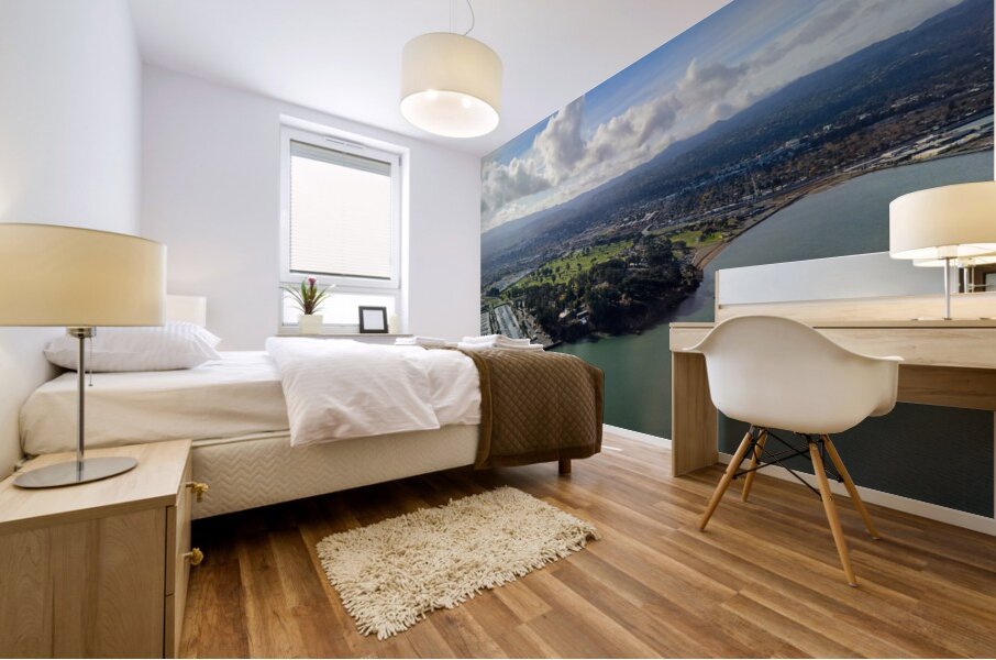 Above the Bay of San Francisco Mural print