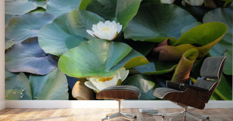 The Secret Life of Lilies Wall Murals