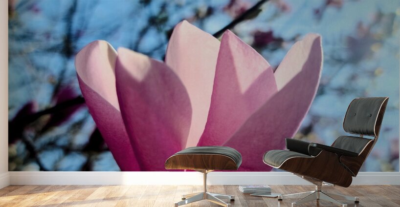Petals Reflecting a Quiet Morning Wall Murals