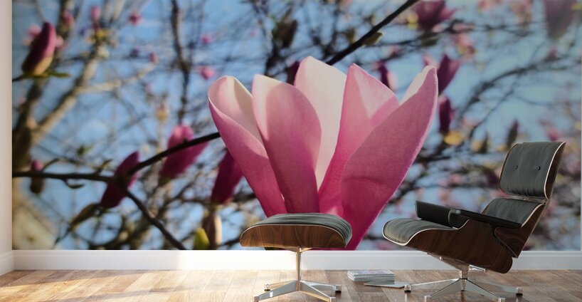 Spring Sun Worshipping Magnolia Wall Murals