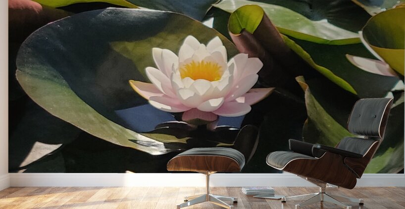Sun-Kissed Petals: A Lilys Morning Wall Murals