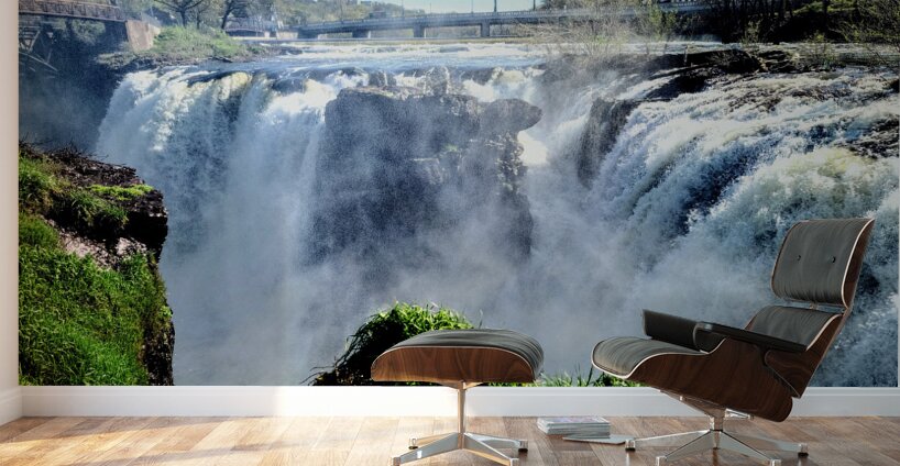 Power in Stillness: The Falls of Paterson NJ Wall Murals