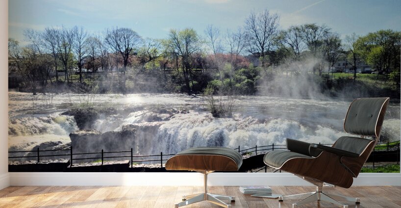 The Curve that Listens to the Falls Wall Murals