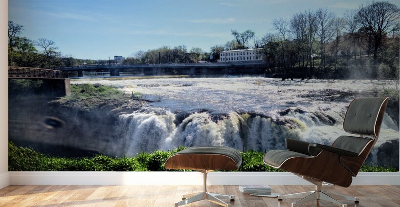 From the Edge: Serenity Meets Momentum at Paterson Great Falls Wall Murals
