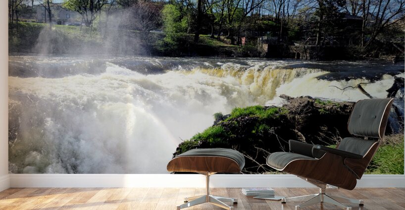 The Roar Beneath Blue Skies Wall Murals