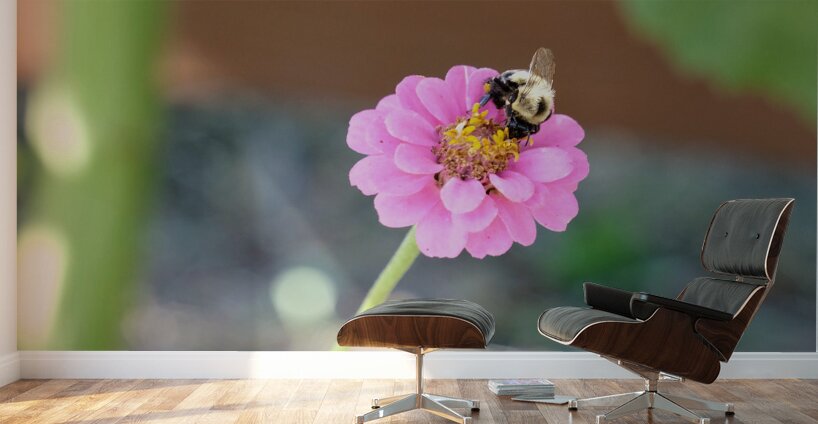 The Quiet Provider: Portrait of Pollination Wall Murals