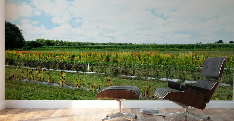 The Silent Pulse of Cultivation Wall Murals