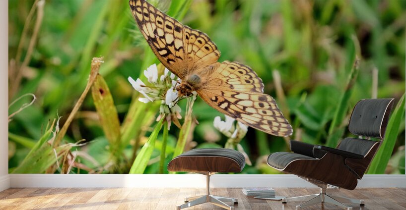 Field Cipher: A Nature Decoded Wall Murals