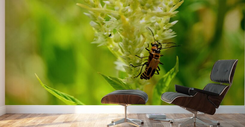 The Daylight Firefly: Guardian of the Green Flame Wall Murals