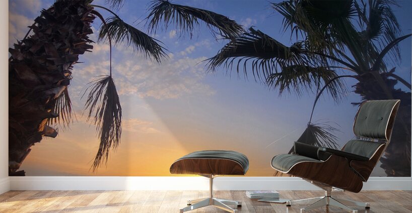 Golden Drift Between Palms Wall Murals