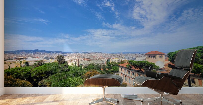 Skylines and Stories: Barcelona Hilltop View Wall Murals