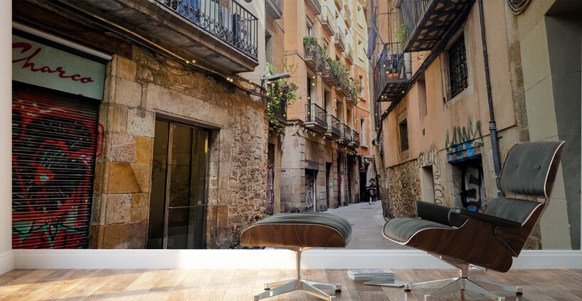Streets of Barcelona: Where Stories Sneak Between Walls Wall Murals