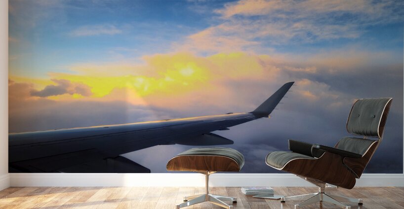 Wings of Dawn Wall Murals