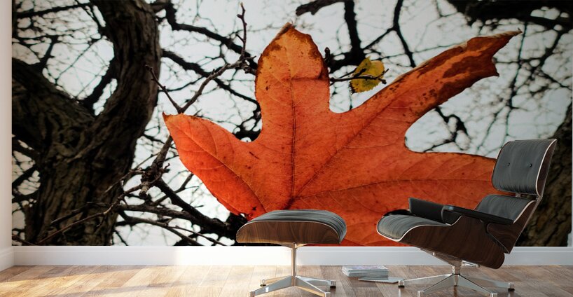 A Fallen Farewell: One Last Note Wall Murals