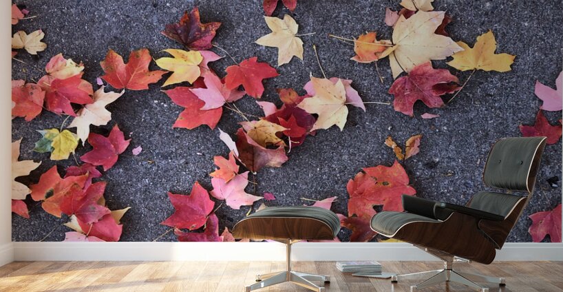 Grounded in Colors 1B Wall Murals