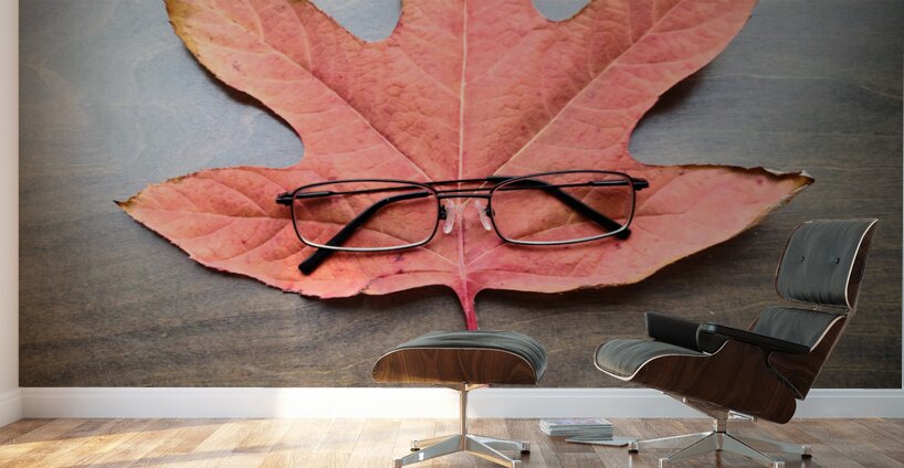 Losing Sight of Fall Wall Murals